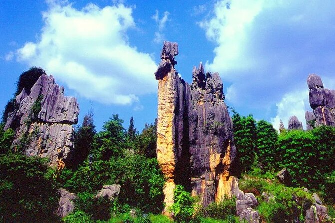 Stone Forest + Yiliang Roast Duck + Kunming City Private Tour - Price and value: what $56.38 buys you (and what costs extra)