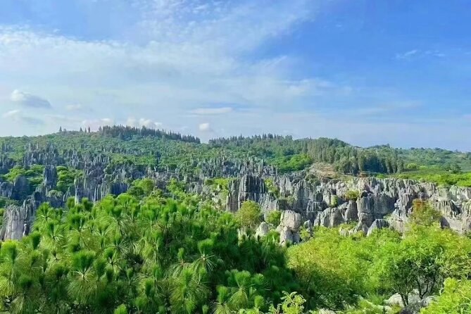 Stone Forest + Yiliang Roast Duck + Kunming City Private Tour - Tips to get the best day out of it