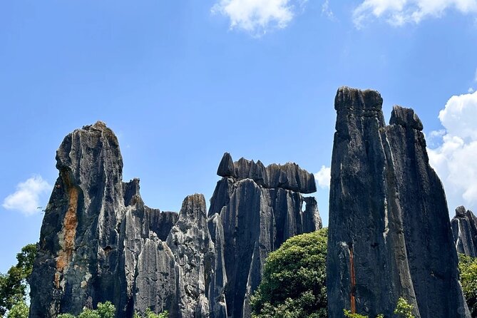 Stone Forest + Yiliang Roast Duck + Kunming City Private Tour - Stone Forest: UNESCO spires, guided so you see more than rocks