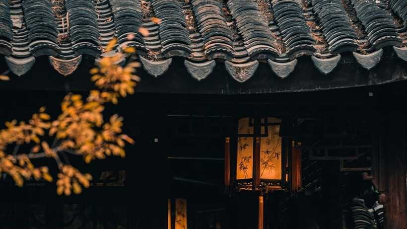 Suzhou:Humble Administrator's Garden Ticket for Adult - Rockeries and ancient trees: where the symbolism becomes visible