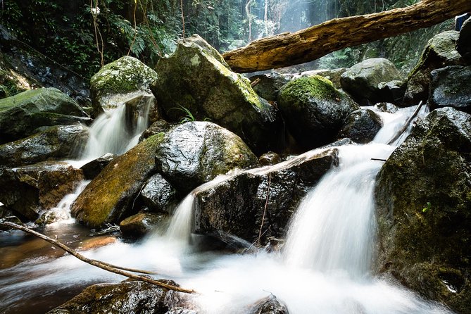 Tai Mo Shan Waterfall Adventure Hike - Why Tai Mo Shan feels far from Hong Kong city life