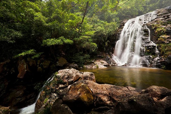 Tai Mo Shan Waterfall Adventure Hike - The forest climb: where the guide turns steps into stories
