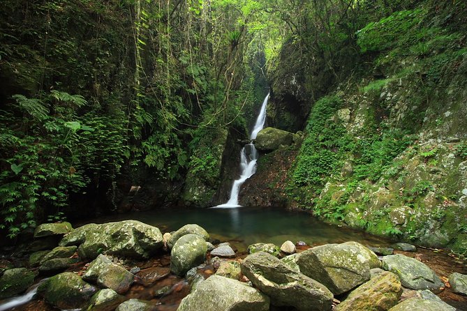 Tai Mo Shan Waterfall Adventure Hike - Main Falls: the tallest waterfall finish, and why it’s worth the work
