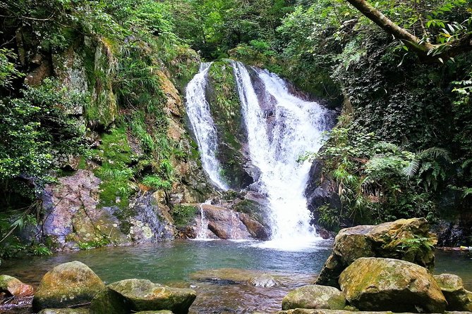 Tai Mo Shan Waterfall Adventure Hike - Pace, group size, and route flexibility (the stuff that makes or breaks the day)