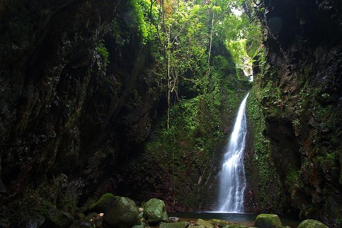 Tai Mo Shan Waterfall Adventure Hike - Starting at Ng Tung Chai Waterfall: your first cascade moment