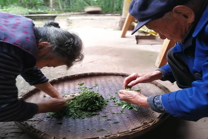Tea Village in lost Town and Buddha 1 day tour - Practical tips so your day goes smoothly