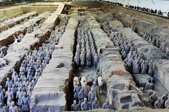 Terra-cotta Warriors Entrance Ticket with Optional Guided Service - Optional guidance: shared group (15 people) vs. private 2-hour tour