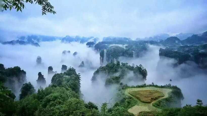 Tianmen Mountain National Forest Park - Heaven-Linking Avenue from above: why the 99 turns matter