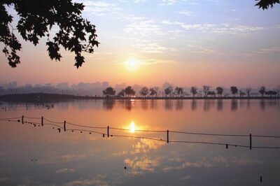 Unveil the Charm of Hangzhou - Half-Day Sightseeing Tour - Pickup, Private Car, and a Guide Who Keeps the Day Smooth
