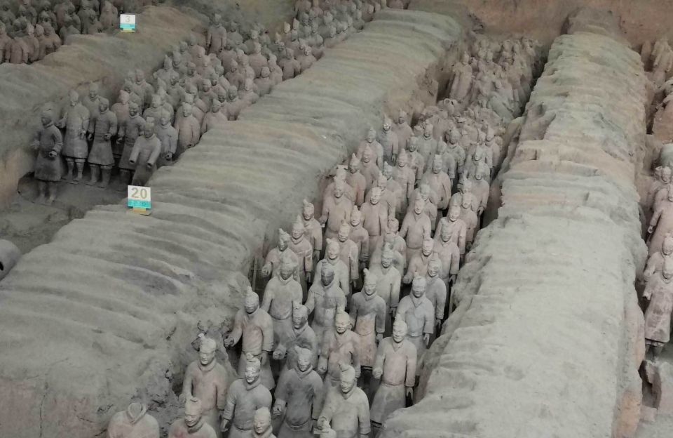 Xi'an: Half-Day Terracotta Warriors & Horses Museum Tour - Should you book this Xi’an Terracotta Warriors half-day tour?
