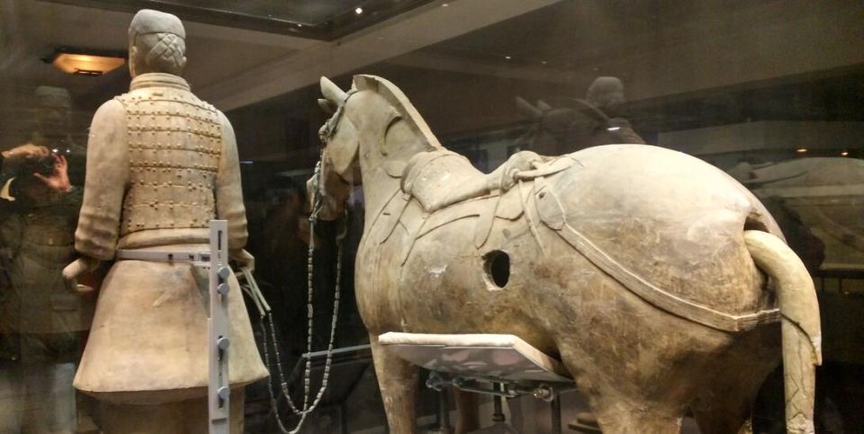 Xi'an: Half-Day Terracotta Warriors & Horses Museum Tour - What to bring and what to plan around (passport, time, and meals)
