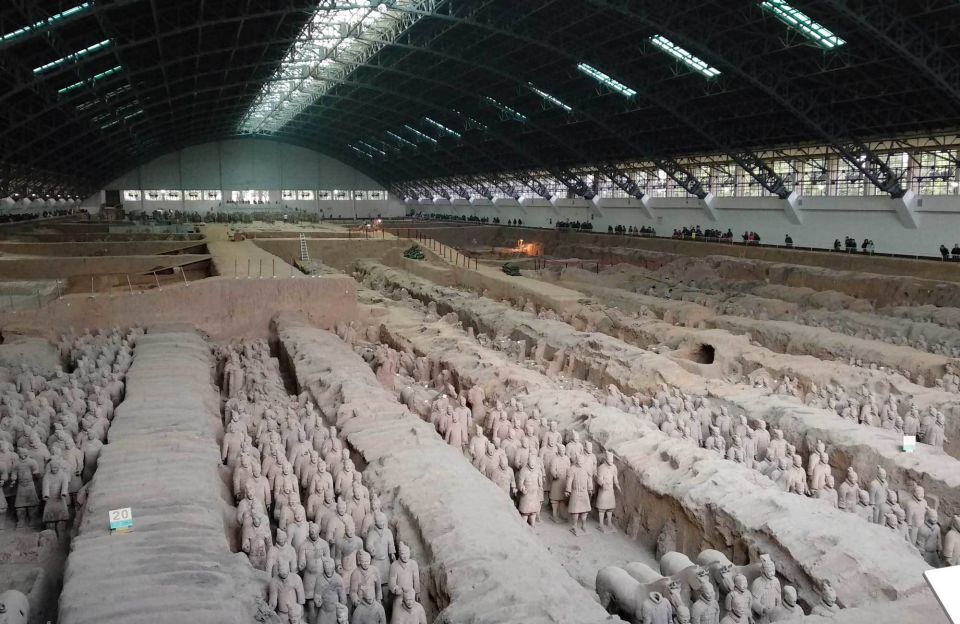 Xi'an: Half-Day Terracotta Warriors & Horses Museum Tour - Private guide expectations: how to get the most from your limited time