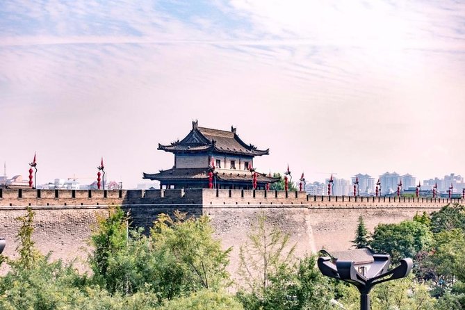 Xi'an Highlights Day Tour - A Private Day That Actually Feels Like a Plan