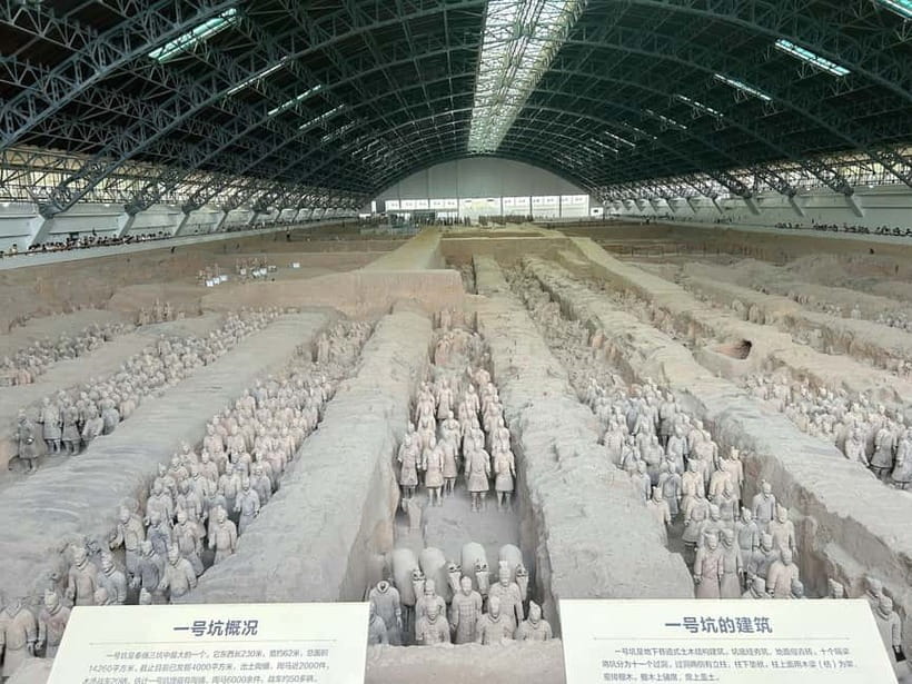 Xi'an: Morning Terracotta Army Tour with Local Family Lunch - Terracotta Army Museum: Pit 1, Pit 2, Pit 3 without the confusion