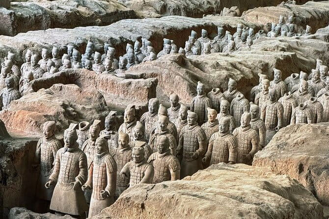 Xi'an Morning Terracotta Army Tour with Local Lunch - Who Should Book This Tour (And Who Might Not Love It)