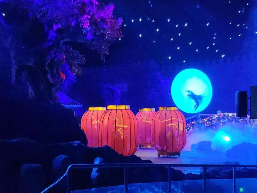 Xi'an Silk Road: Legend of Camel Bell Show Ticket w/Transfer - Key Things to Know Before You Go