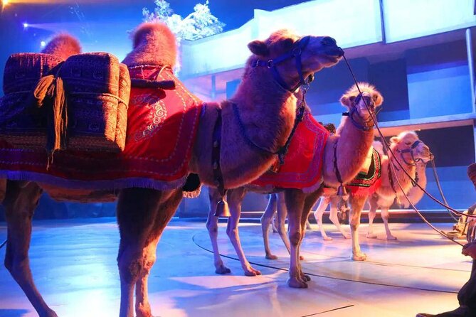 Xi'an Silk Road: Legend of Camel Bell Show Ticket with Transfer - Key highlights to know before you go