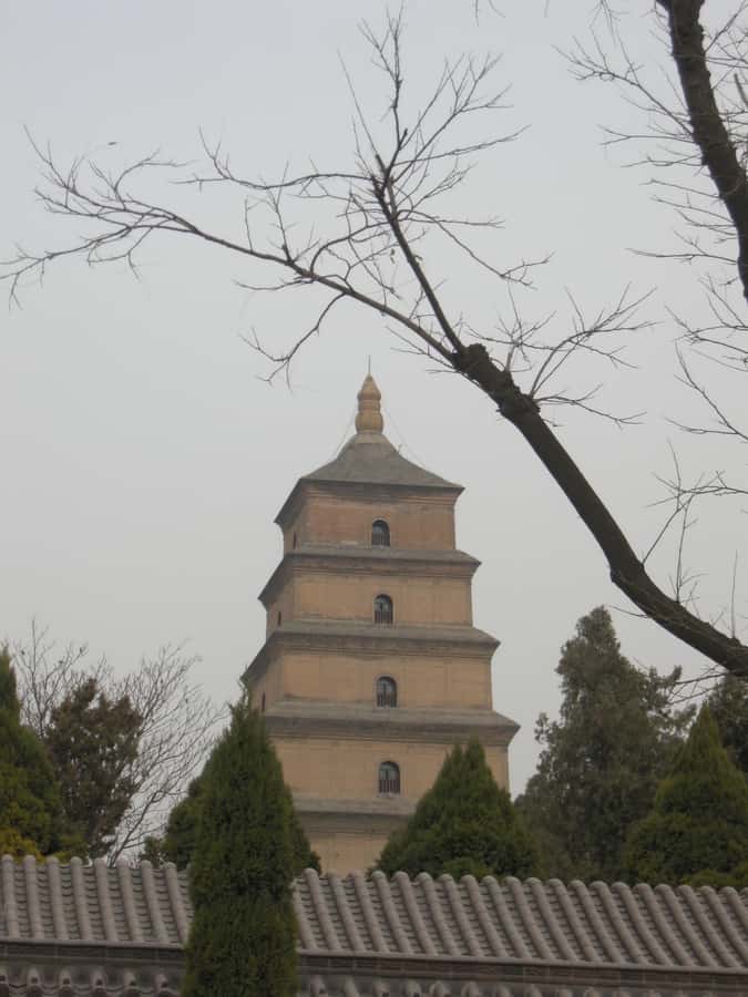 Xi'an: Terra-Cotta Warriors Entry with Optional Guide - Key things to know before you go