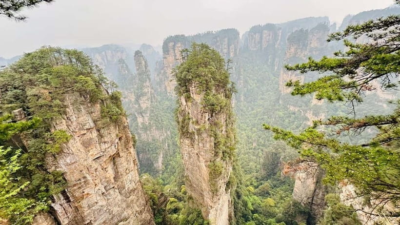 Zhangjiajie: National Forest Park 1-Day VIP Private Tour - Key moments that make this VIP tour worth it
