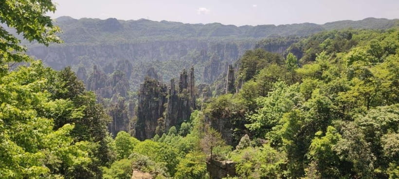 Zhangjiajie: National Forest Park 1-Day VIP Private Tour - Yuanjiajie and Tianzi Mountain: the iconic views with story attached