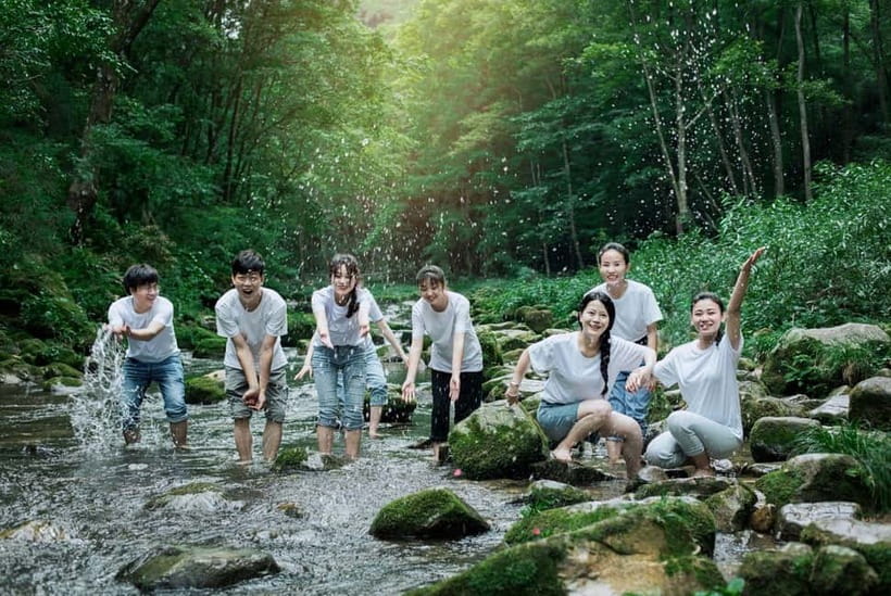 Zhangjiajie: National Forest Park 1-Day VIP Private Tour - Booking timing and the VIP-ticket reality