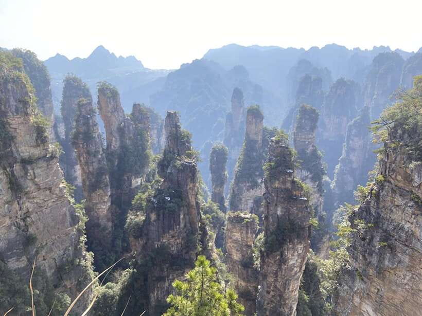 Zhangjiajie National Forest Park: Private Tour and Transport - Yuanjiajie: Enchanting Stage views and Avatar-like pillars