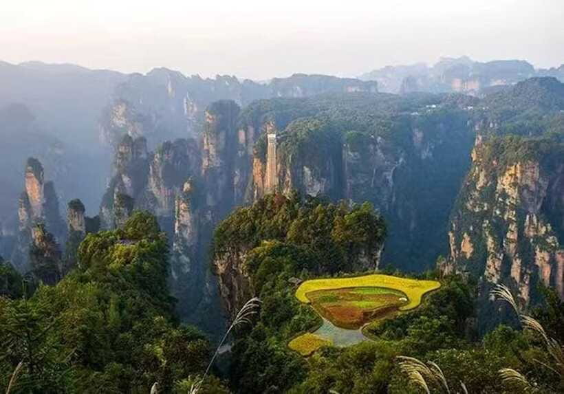 Zhangjiajie National Forest Park: Private Tour and Transport - English guide matters more than you think
