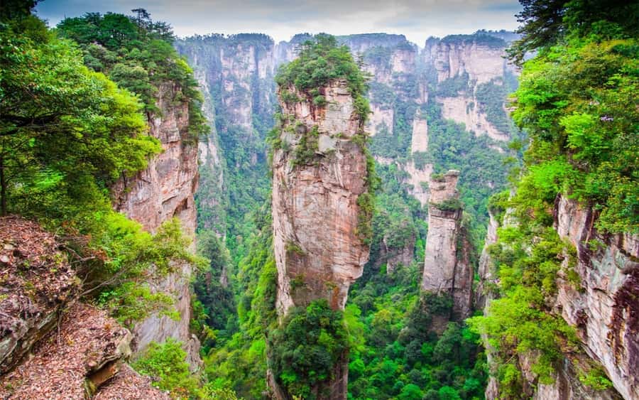Zhangjiajie: VIP Zhangjiajie National Forest Park Day Tour - Key things to love about this VIP Zhangjiajie day tour