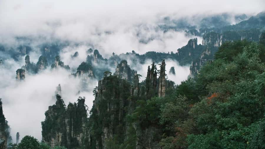 Zhangjiajie: VIP Zhangjiajie National Forest Park Day Tour - Ten-mile Gallery: the classic corridor walk, plus optional mini train