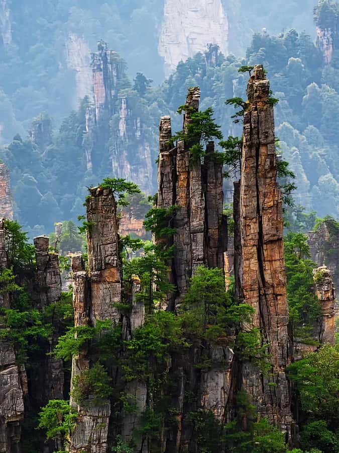 Zhangjiajie: VIP Zhangjiajie National Forest Park Day Tour - Why the English guide and private pacing matter