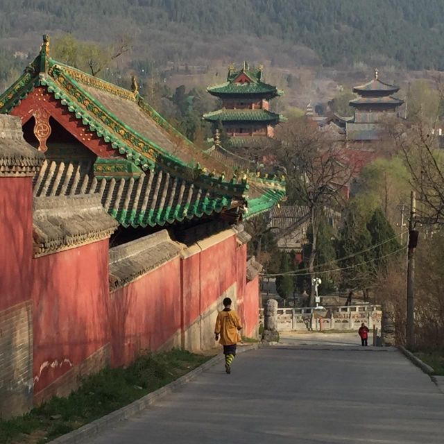 Zhengzhou: Private Tour to Shaolin Temple & Longmen Grottoes - Shaolin Temple: Mount Song, Batuo, and why the site grew over time